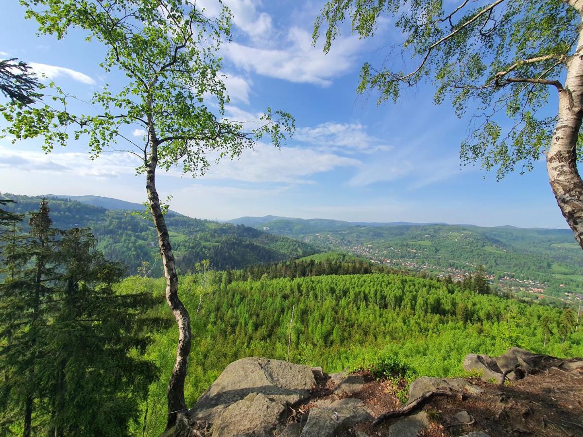 Apartamenty Ski & Fun Spokojna Visla Exteriér fotografie